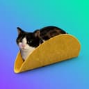 tacocat