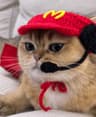 MCCAT