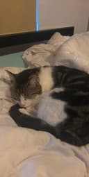 sleep