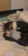 sleep