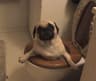 PUG
