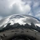 BEAN