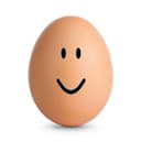happyegg
