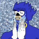 SANIC