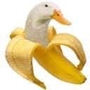 ducknana