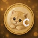BABYCAT
