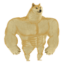 SWOLEDOGE