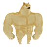 SWOLEDOGE