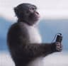 clicking