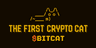 BITCAT