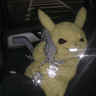 PikaSleez
