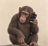 ApeOnCall