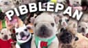 PIBBLE