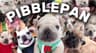 PIBBLE