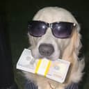 CASHDOG