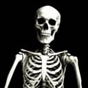 Skeleton