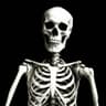 Skeleton
