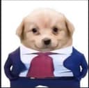 $VIP