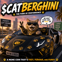 CATCAR