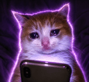 trenchcat