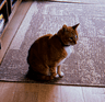Hobbes
