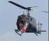 HELI DOG