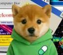 PFP