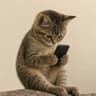 catonfone