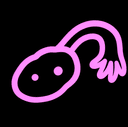 ovary
