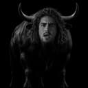 TJRBULL