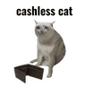 CASHLESS