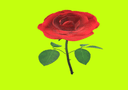 $ROSE
