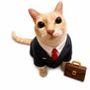 MEOWCEO