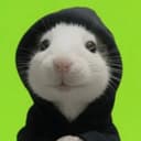 HOODRAT