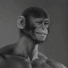 ApeChad