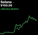 SOLANA CAT