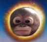 APEVERYTHING