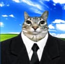 CatWorker