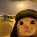 SELFIE