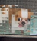 Pixel