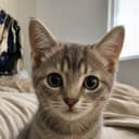 TILLY