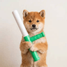BATON