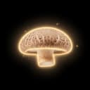 SHIITAKE