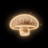 SHIITAKE