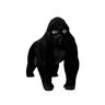 apecat