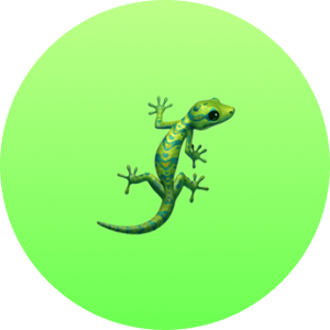 hostedserver1