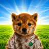 INU
