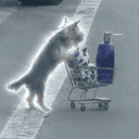 WIFCART