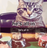 all/in