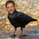 crow